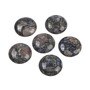 Natural Glaucophane Cabochons, Half Round/Dome, 25x5.5mm(G-H1596-FR-25mm-19)