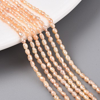 Natural Cultured Freshwater Pearl Beads Strands, Rice, PeachPuff, 2.5~4.5x1.5~2.5mm, Hole: 0.5mm, about 79~81pcs/strand, 13.78 inch(35cm)