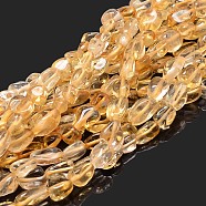 Natural Citrine Nuggets Beads Strands, Tumbled Stone, Dyed & Heated, 5~10x6~7x3~7mm, hole: 1mm, about 14.9 inch~15.7 inch(G-J335-27)