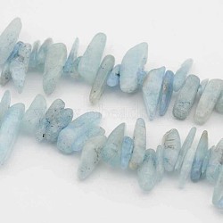 Natural Aquamarine Beads Strands, Chips, Light Sky Blue, 9~27x3~8x1~6mm, Hole: 1mm, 15 inch(X-G-F208-01)