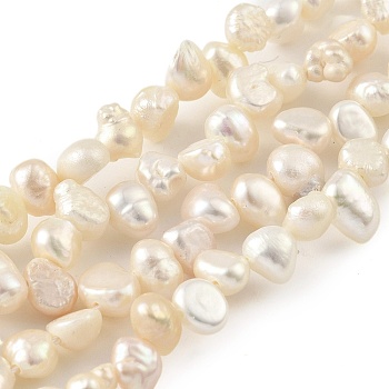 Natural Cultured Freshwater Pearl Beads Strands, Top Drilled, Two Sides Polished, Old Lace, 5~6mm, Hole: 0.5mm, about 35pcs/strand, 6.69 inch(17cm)