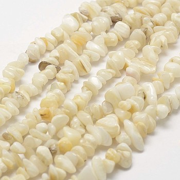 Natural Shell Beads Strands, Chip, Light Yellow, 3~5x7~13x2~4mm, Hole: 0.4mm, about 31.5 inch(80cm)