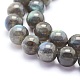 Natural Labradorite Beads Strands(G-O166-08-10mm)-3