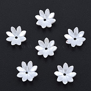 Resin Imitation Pearl Bead Caps, Multi-Petal, Flower, White, 10x10x3mm, Hole: 1mm(RESI-N036-04-06)
