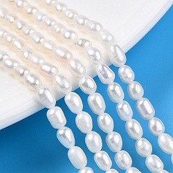 Natural Cultured Freshwater Pearl Beads Strands, Rice, Creamy White, 4~5x3.5~4mm, Hole: 0.6mm, about 82~83pcs/strand, 15.55''(39.5cm)(PEAR-N012-03N)