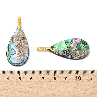 Natural Paua Shell/Abalone Shell Pendants(PALLOY-JF05570)-3