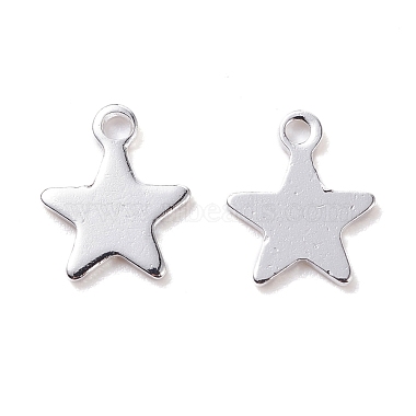304 Stainless Steel Charms(STAS-H436-51S)-2
