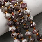 Natural Plum Blossom Tourmaline Beads Strands, Faceted Rondelle Beads, with Seed Beads, 8x6~6.5mm, Hole: 1mm, about 23~24pcs/strand, 7.68''(19.5cm)~8.07''(20.5cm)(G-D105-B01)