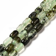 Natural Prehnite Beads Strands, Column, 9x6mm, Hole: 1~1.2mm, about 20~21pcs/strand, 7.09~7.48 inch(18~19cm)(G-G980-24)