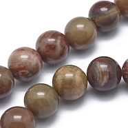 Natural Petrified Wood Beads Strands, Round, 10mm, Hole: 1mm, about 37pcs/strand, 14.9 inch(38cm)(G-I254-07C)