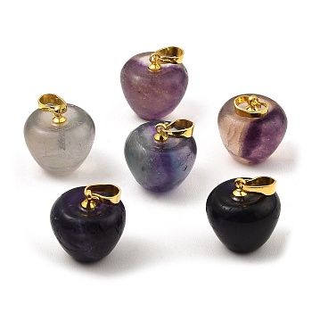 Natural  Fluorite Teacher Apple Charms, with Golden Plated Brass Snap on Bails, 14.5x14mm, Hole: 6.5x4mm