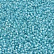 MIYUKI Delica Beads(X-SEED-J020-DB1708)-3