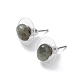 Natural Labradorite Stud Earrings for Women(EJEW-E285-01P-03)-2