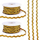 2 Rolls Polyester Ribbon(OCOR-GL0001-31A)-1