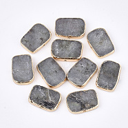 Electroplate Natural Labradorite Beads, Rectangle, 13~14x18~19x3~4mm, Hole: 1mm(G-S344-96)