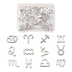 Fashewelry 24Pcs 2 Sets Zinc Alloy Jewelry Pendant Accessories, Twelve Constellations Series, Platinum, 5/8 inch(15mm), Hole: 2.2mm, 12 constellations, 1pc/constellation, 12pcs/set(FIND-FW0001-08P)