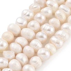 Natural Cultured Freshwater Pearl Beads Strands, Potato, Antique White, 6~7mm, Hole: 0.6mm, about 29pcs/strand, 6.69 inch(17cm)(PEAR-C003-12A)