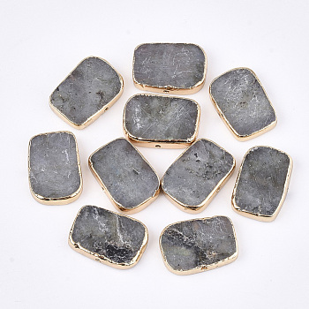 Electroplate Natural Labradorite Beads, Rectangle, 13~14x18~19x3~4mm, Hole: 1mm