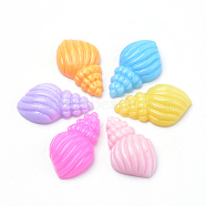 Resin Cabochons, Spiral Shell Shape, Mixed Color, 30x18x7mm(CRES-Q197-67)