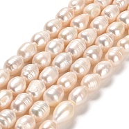 Natural Cultured Freshwater Pearl Beads Strands, Rice, Grade A+, Linen, 8~11.5x7.5~8mm, Hole: 0.5mm, about 28~32pcs/strand, 13.19~13.39 inch(33.5~34cm)(PEAR-E016-064)