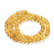Natural Amber Beads Strands, Round, 6~7mm, Hole: 0.6mm, about 66pcs/Strand, 15.75 inch(40cm)(G-K308-C01-6mm)