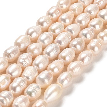 Natural Cultured Freshwater Pearl Beads Strands, Rice, Grade A+, Linen, 8~11.5x7.5~8mm, Hole: 0.5mm, about 28~32pcs/strand, 13.19~13.39 inch(33.5~34cm)