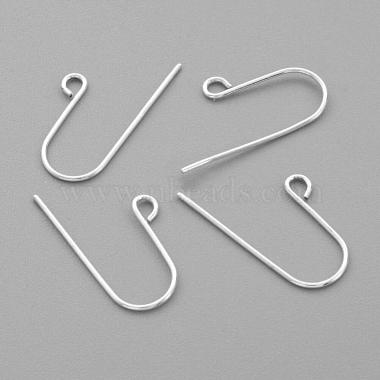 Sterling Silver Earring Hooks(STER-G011-21)-1