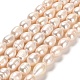 Natural Cultured Freshwater Pearl Beads Strands(PEAR-E016-064)-1