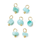 Dyed Natural Freshwater Shell Nuggets Charms, with Brass Loops, Golden, Turquoise, 7.5~9.5x4.5~6x3~4.5mm, Hole: 2~2.3mm(PALLOY-JF05032-01)