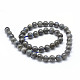 Natural Labradorite Beads Strands(G-P326-01-6mm)-2