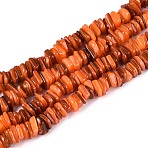 Natural Freshwater Shell Beads Strands, Dyed, Chip, Coral, 5~27x5~27x0.5~6mm, Hole: 0.7~1mm, about 155~165pcs/strand, 15.75~16.14 inch(40~41cm)(SHEL-N037-01B)