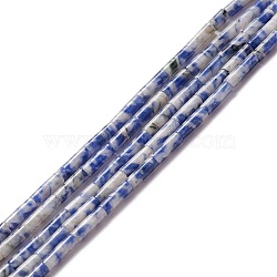 Natural Blue Spot Jasper Beads Strands, Column, 9~10.5x3mm, Hole: 0.9~1mm,  about 40~43pcs/strand, 15.35 inch~15.55 inch(39~39.5cm)(G-A201-B11)