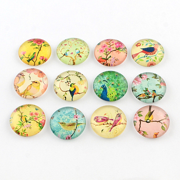 Half Round/Dome Bird Pattern Glass Flatback Cabochons for DIY Projects, Mixed Color, 12x4mm