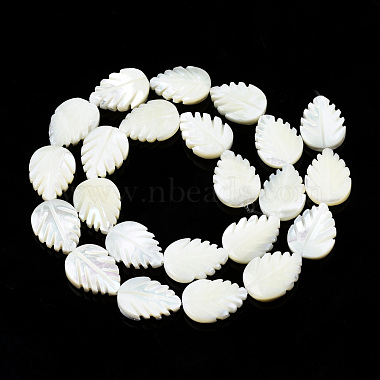 Natural Trochid Shell/Trochus Shell Beads Strands(SSHEL-N034-136B-01)-2
