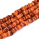 Natural Freshwater Shell Beads Strands(SHEL-N037-01B)-1