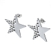 201 boucles d'oreilles en inox(EJEW-K270-25P)-1