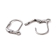 Original Color Stainless Steel Leverback Earring Findings(X-STAS-E007-6)-2