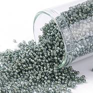 TOHO Round Seed Beads, Japanese Seed Beads, (371) Inside Color Black Diamond/White Lined, 15/0, 1.5mm, Hole: 0.7mm, about 3000pcs/10g(X-SEED-TR15-0371)