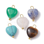 5Pcs Mixed Gemstone Heart Charms, Natural Tiger Eye & Blue Spot Jasper & Rose Quartz & Malaysia Jade, Synthetic Turquoise, with Golden Tone Copper Wire Loops, 14.5x10x5mm, Hole: 2.3mm, 5pcs/set(PALLOY-JF02493-01S)