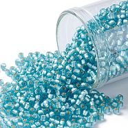 TOHO Round Seed Beads, Japanese Seed Beads, (23F) Silver Lined Frost Aquamarine, 11/0, 2.2mm, Hole: 0.8mm, about 1110pcs/10g(X-SEED-TR11-0023F)