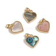 Natural Shell Charms, with Golden Plated Brass Findings, Long-Lasting Plated, Heart, 12x12x3mm, Hole: 3x2.5mm(KK-L196-14)