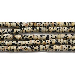 Natural Dalmatian Jasper Beads Strands, Disc, Heishi Beads, 4x2mm, Hole: 1mm, about 173pcs/strand, 15.39~15.43''(39.1~39.2cm)(G-E612-A01-B)