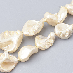 Shell Pearl Beads Strands, Polished, Nugget, PapayaWhip, 15~25x10~26x5~16mm, Hole: 1mm, about 18pcs/strand, 14.96 inch(X-BSHE-Q031-15H)