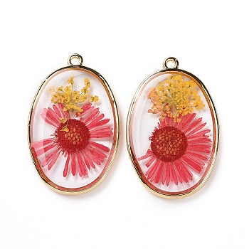 Transparent Clear Epoxy Resin Pendants, with Edge Golden Plated Brass Loops, Oval Charms with Inner Flower, Crimson, 35x22x4mm, Hole: 1.5mm