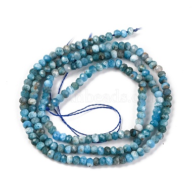 Natural Apatite Beads Strands(G-F770-D09-02A)-3