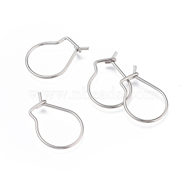 Stainless Steel Color Stainless Steel Earring Hooks