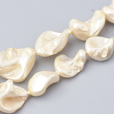Shell Pearl Beads Strands(X-BSHE-Q031-15H)-1