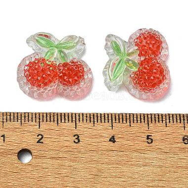 Fruit Transparent Epoxy Resin Decoden Cabochons(CRES-I030-24A)-3