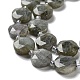 Natural Labradorite Beads Strands(G-NH0004-001)-4