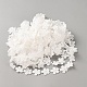 Polyester Lace Ribbon(OCOR-WH0111-138D)-2